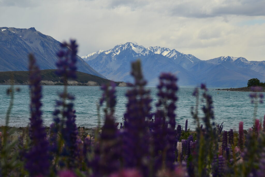 NATURE