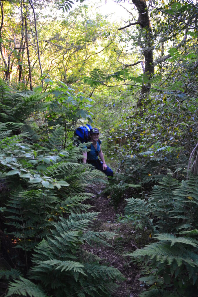 HIKER THOTEI