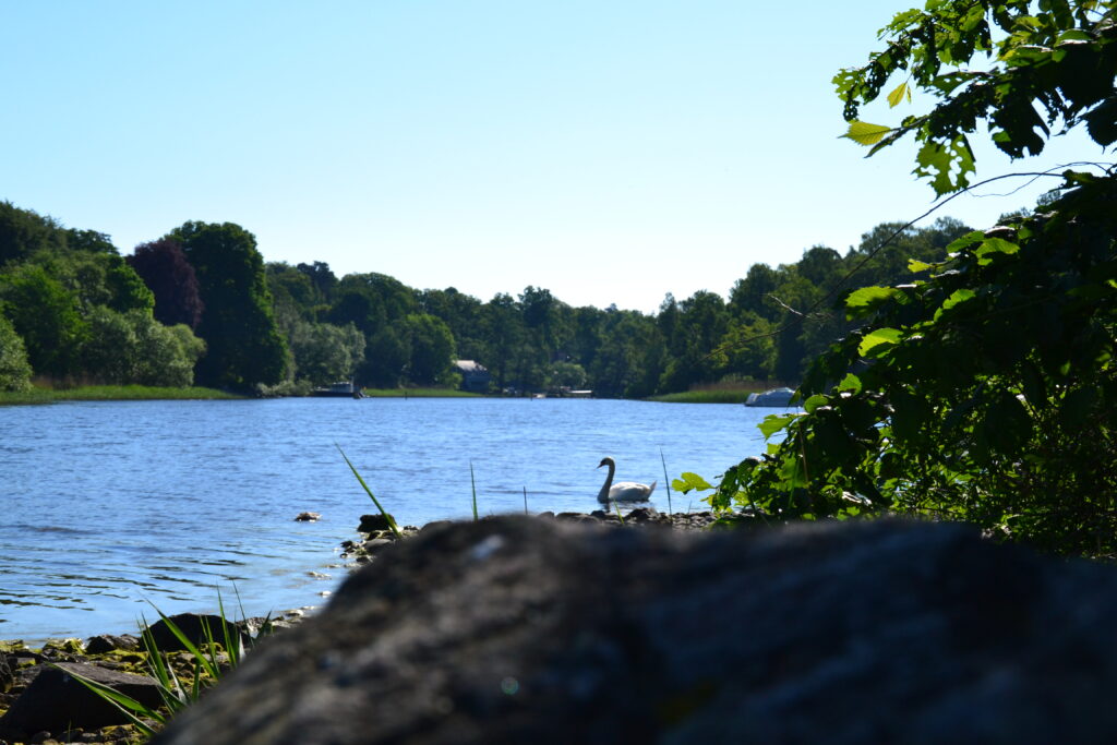 STOCKHOLM - WILDCAMPING